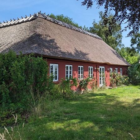 StubbekøbingUnder Valnodden住宿加早餐旅馆 外观 照片