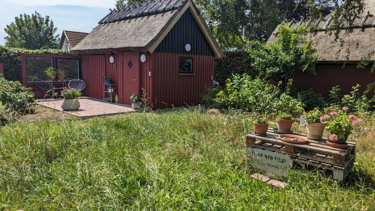 StubbekøbingUnder Valnodden住宿加早餐旅馆 外观 照片