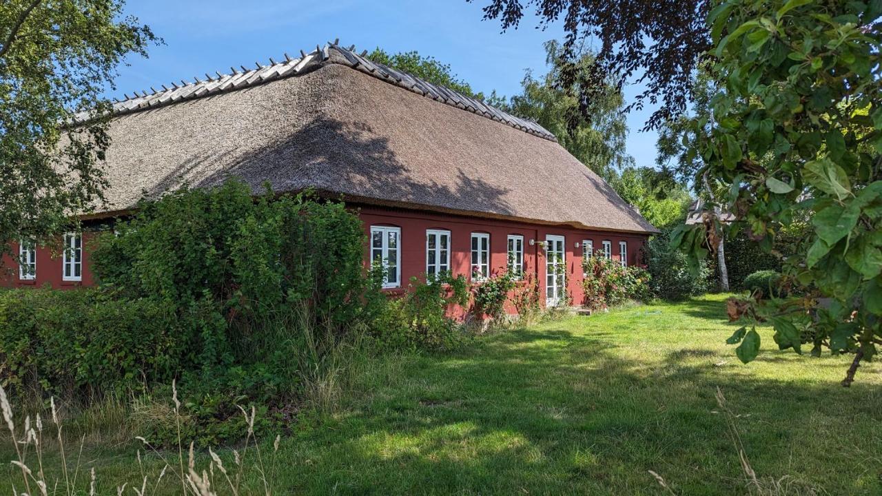 StubbekøbingUnder Valnodden住宿加早餐旅馆 外观 照片