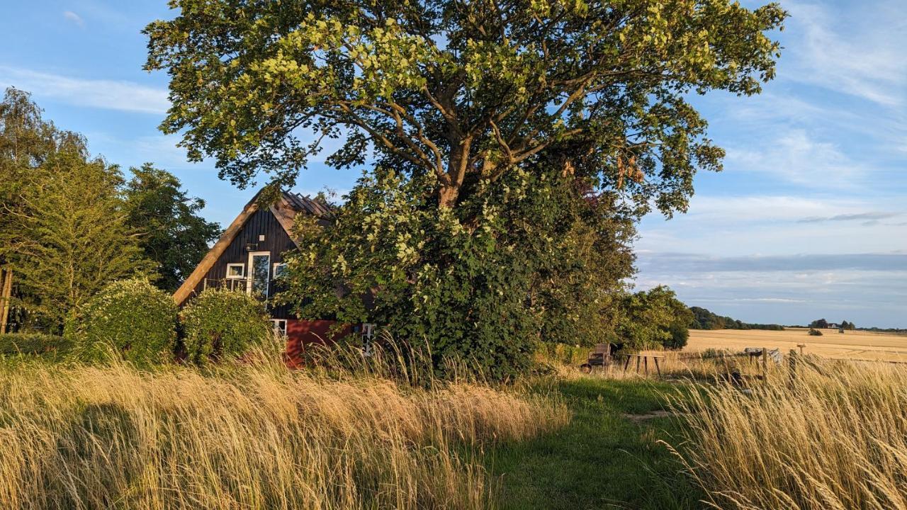 StubbekøbingUnder Valnodden住宿加早餐旅馆 外观 照片